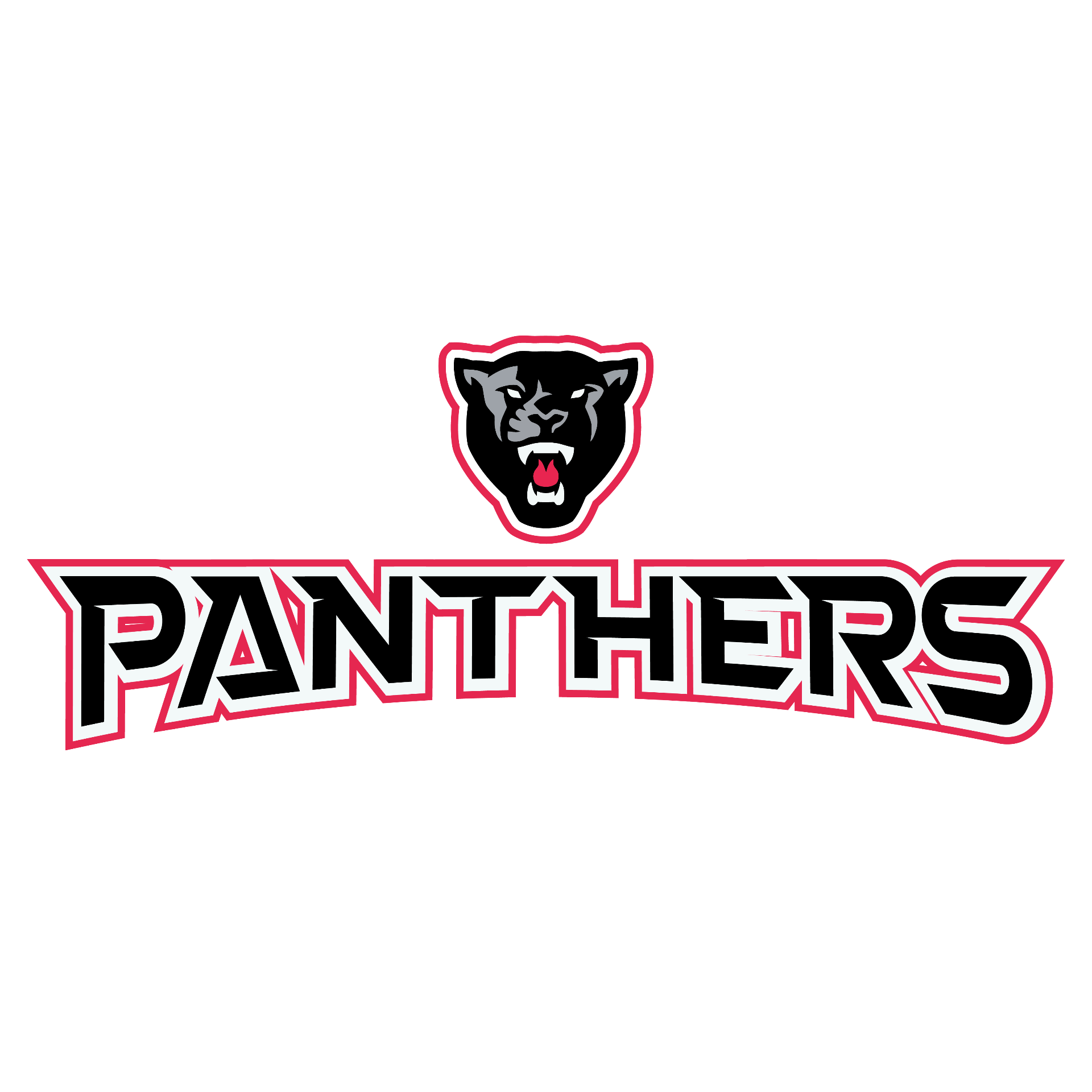 Panthers flag football team logo